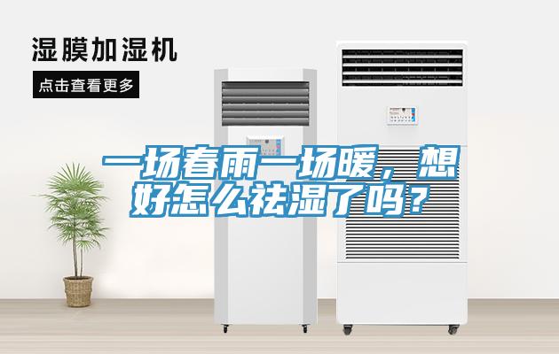 一場春雨一場暖,想好怎么祛濕了嗎?