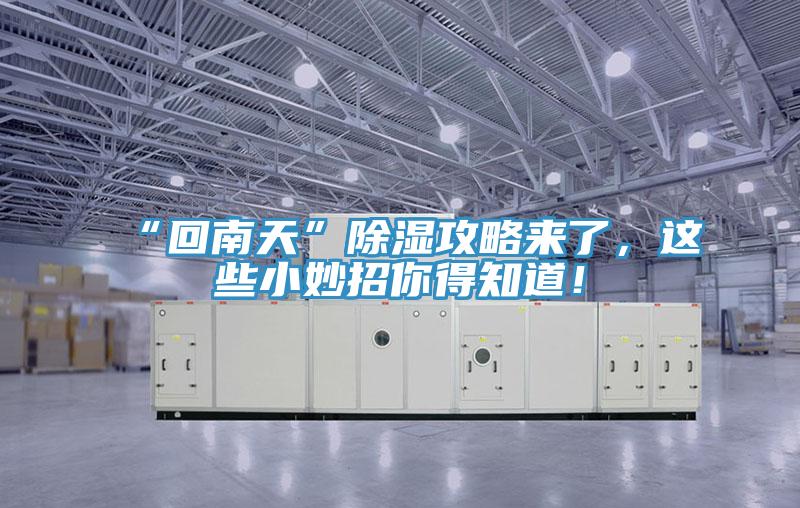 “回南天”除濕攻略來了，這些小妙招你得知道！