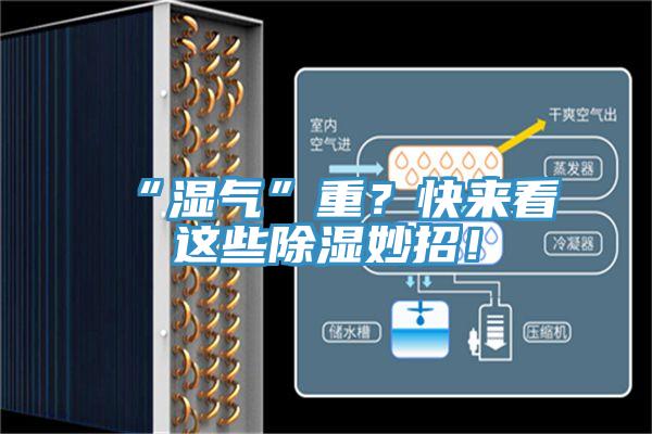 “濕氣”重？快來(lái)看這些除濕妙招！