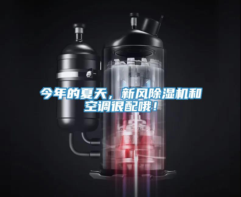 今年的夏天，新風(fēng)除濕機和空調(diào)很配哦！