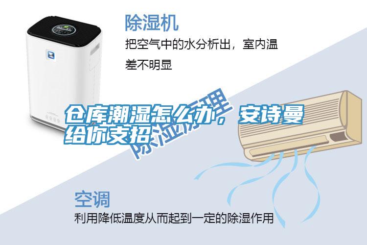 倉庫潮濕怎么辦,安詩曼給你支招