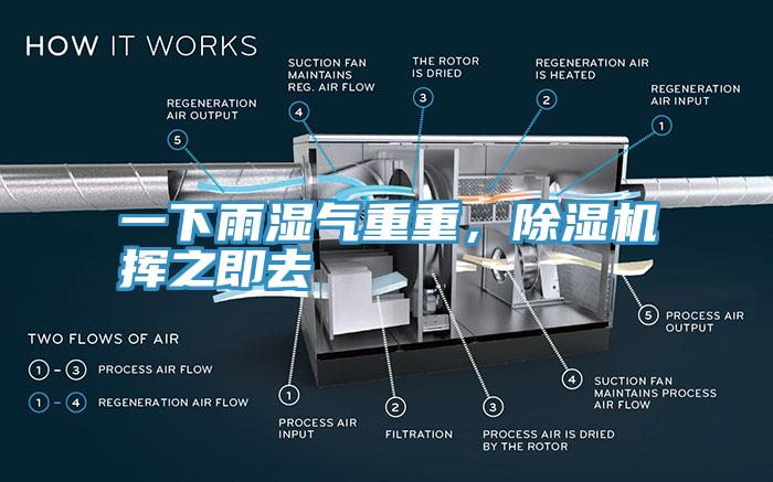 一下雨濕氣重重,除濕機揮之即去