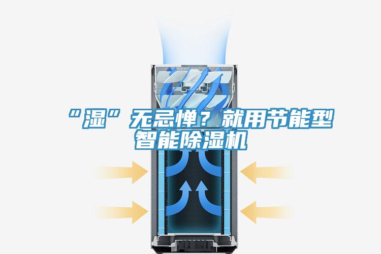 “濕”無(wú)忌憚？就用節(jié)能型智能除濕機(jī)