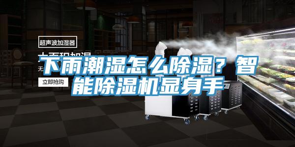 下雨潮濕怎么除濕?智能除濕機顯身手
