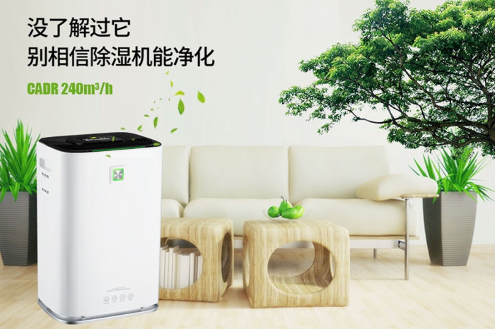 一到回南天狗狗就感冒+皮膚病,怎么辦?
