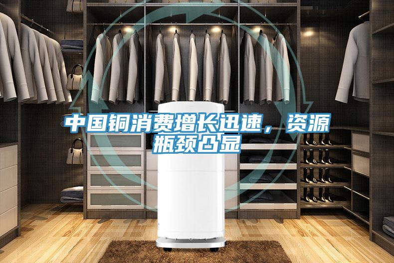 中國銅消費增長迅速，資源瓶頸凸顯