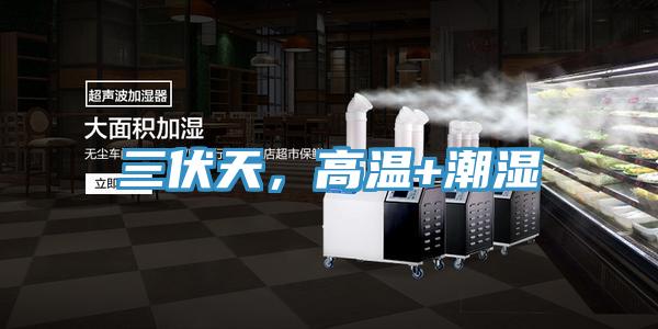 三伏天,高溫+潮濕