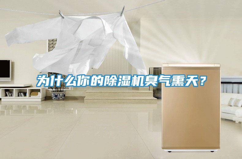 為什么你的除濕機臭氣熏天？