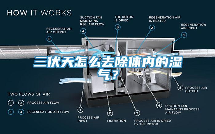 三伏天怎么去除體內的濕氣?