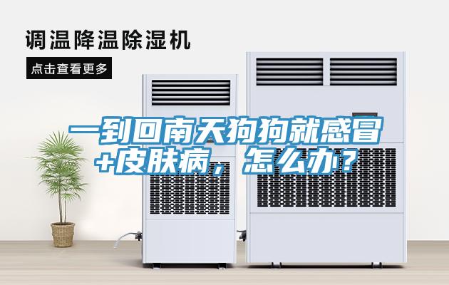 一到回南天狗狗就感冒+皮膚病，怎么辦？