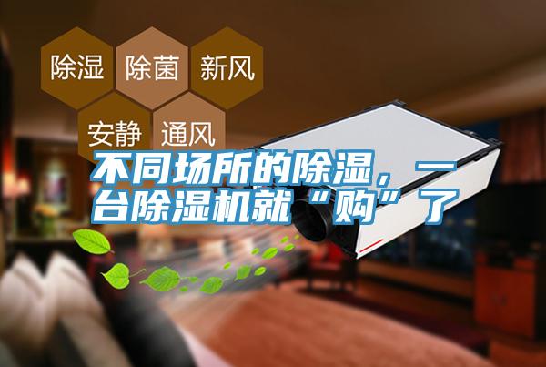 不同場所的除濕,一臺除濕機就“購”了