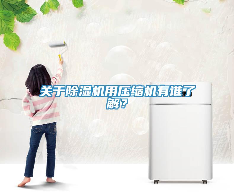 關(guān)于除濕機(jī)用壓縮機(jī)有誰了解?