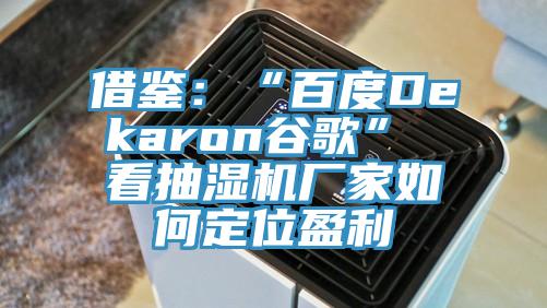 借鑒：“百度Dekaron谷歌” 看抽濕機(jī)廠(chǎng)家如何定位盈利