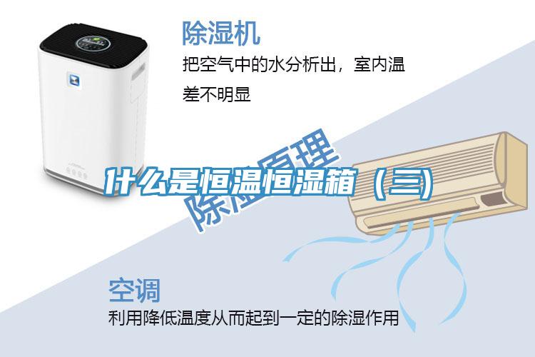 什么是恒溫恒濕箱(三)