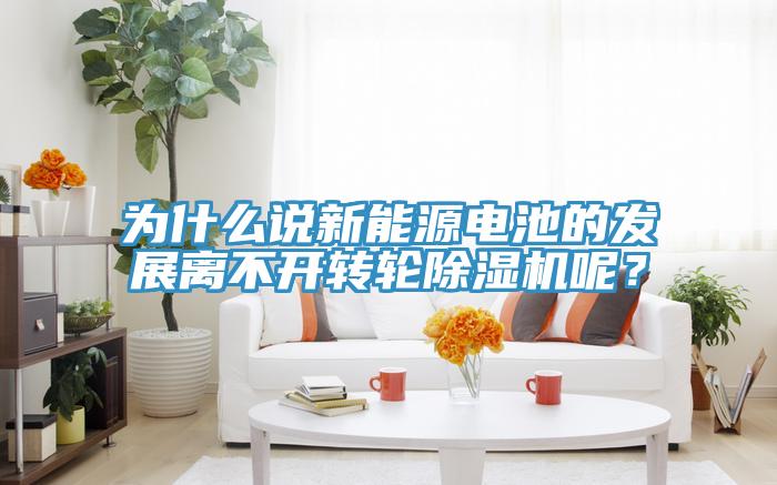 為什么說新能源電池的發展離不開轉輪除濕機呢?
