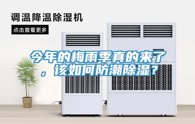 今年的梅雨季真的來了,該如何防潮除濕?
