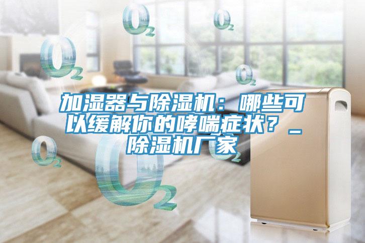 加濕器與除濕機(jī)：哪些可以緩解你的哮喘癥狀？_除濕機(jī)廠(chǎng)家