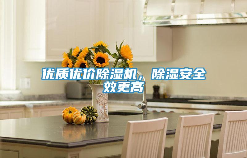 優(yōu)質(zhì)優(yōu)價(jià)除濕機(jī),除濕安全效更高