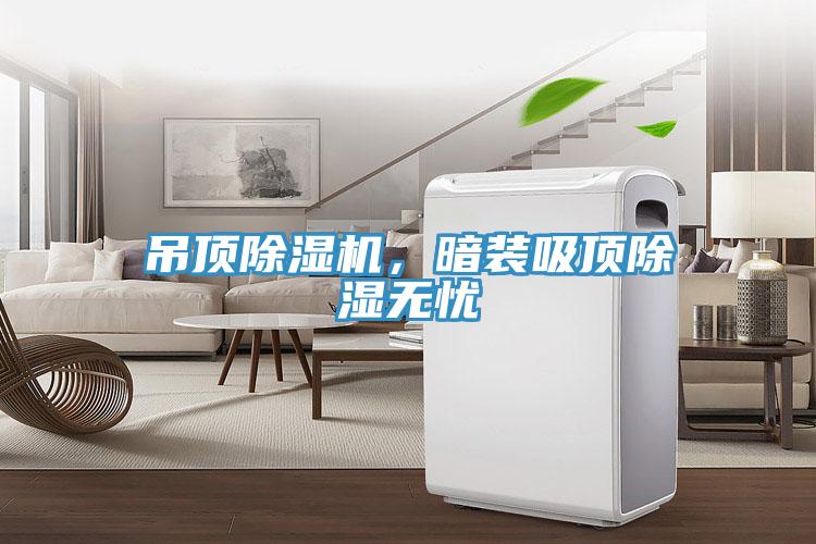 吊頂除濕機,暗裝吸頂除濕無憂