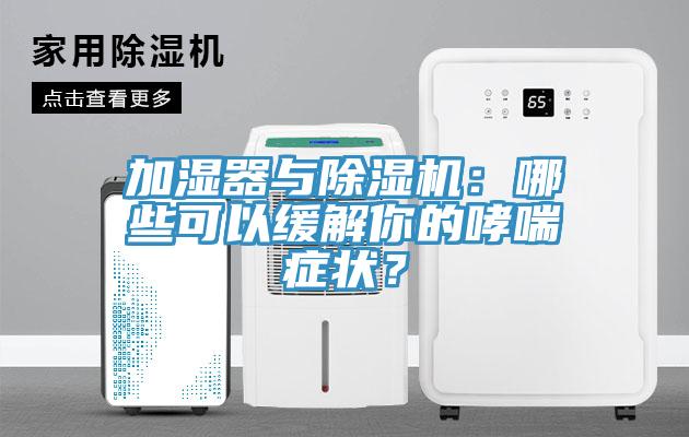 加濕器與除濕機：哪些可以緩解你的哮喘癥狀？