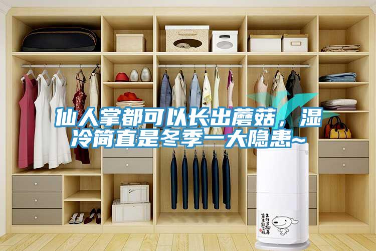 仙人掌都可以長(zhǎng)出蘑菇,濕冷簡(jiǎn)直是冬季一大隱患~