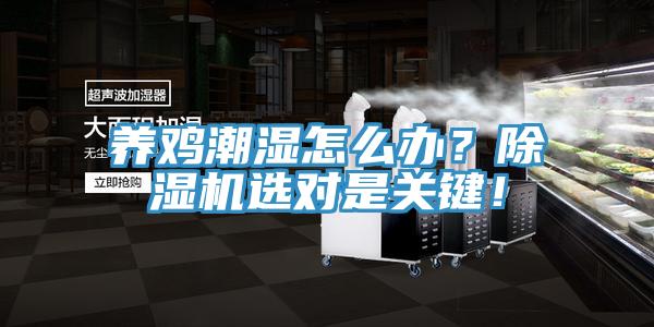 養(yǎng)雞潮濕怎么辦?除濕機選對是關(guān)鍵!