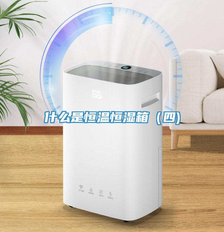 什么是恒溫恒濕箱(四)