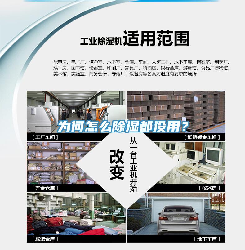 為何怎么除濕都沒用?