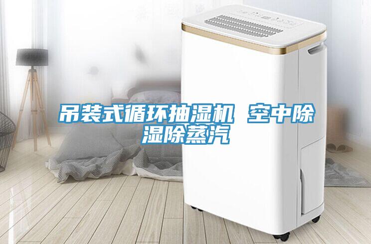 吊裝式循環抽濕機 空中除濕除蒸汽