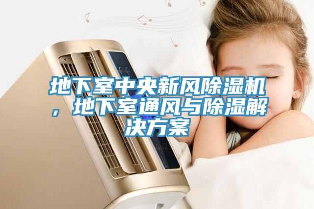 地下室中央新風(fēng)除濕機，地下室通風(fēng)與除濕解決方案
