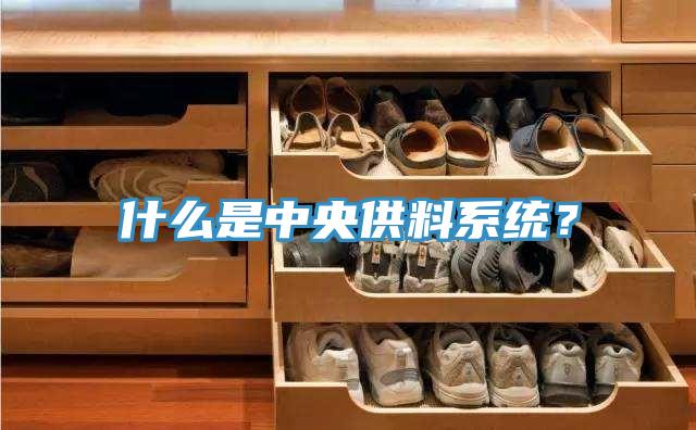 什么是中央供料系統？