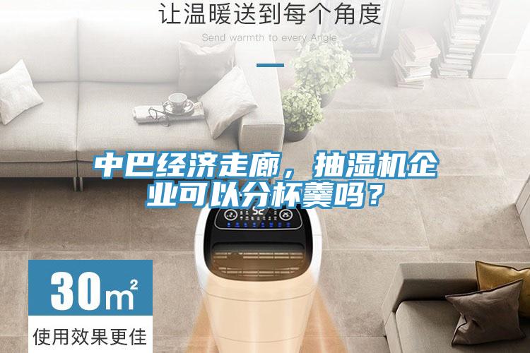 中巴經濟走廊,抽濕機企業可以分杯羹嗎?