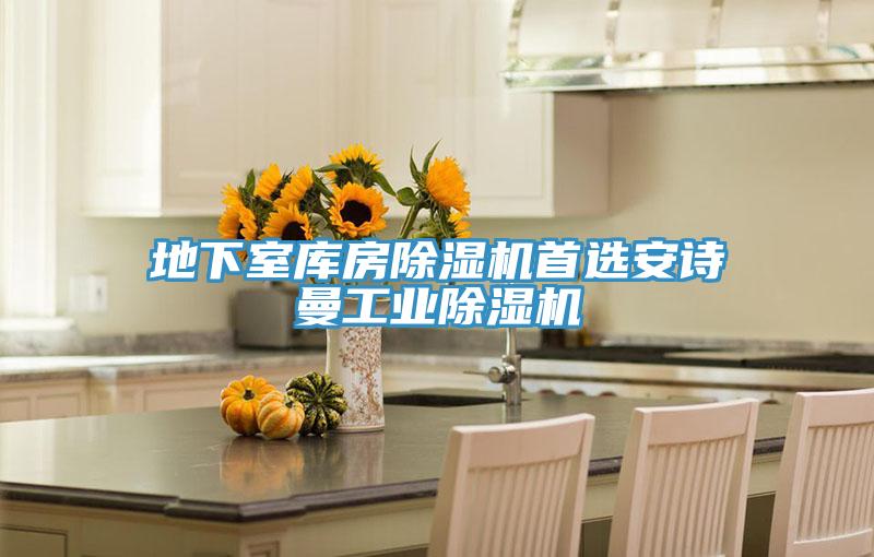 地下室?guī)旆砍凉駲C首選安詩曼工業(yè)除濕機
