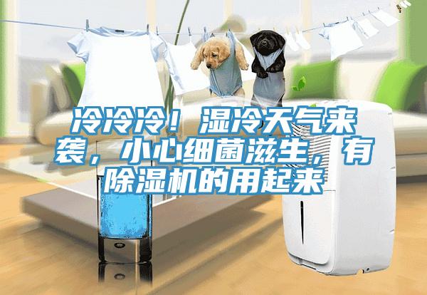 冷冷冷!濕冷天氣來襲,小心細菌滋生,有除濕機的用起來