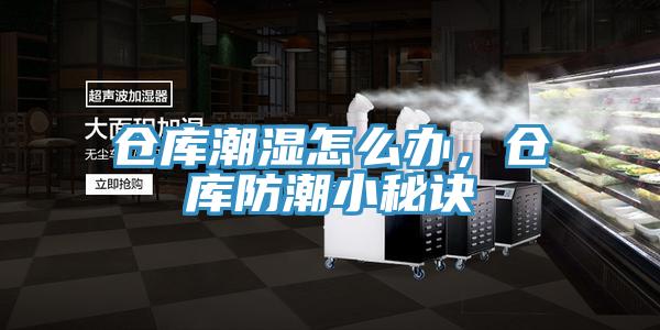 倉庫潮濕怎么辦,倉庫防潮小秘訣