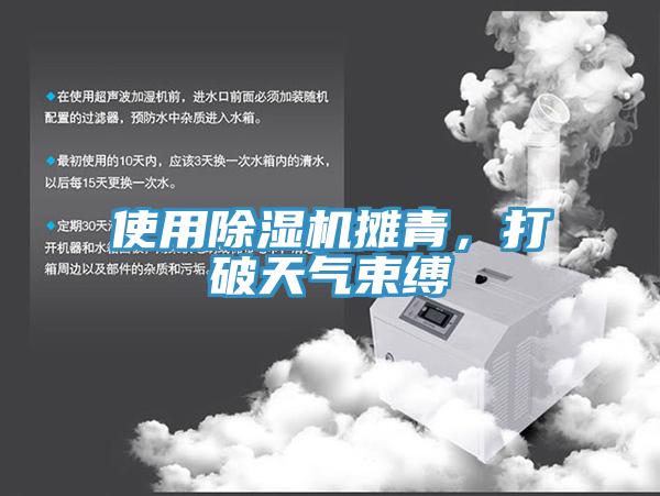 使用除濕機攤青，打破天氣束縛
