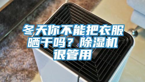 冬天你不能把衣服曬干嗎？除濕機很管用