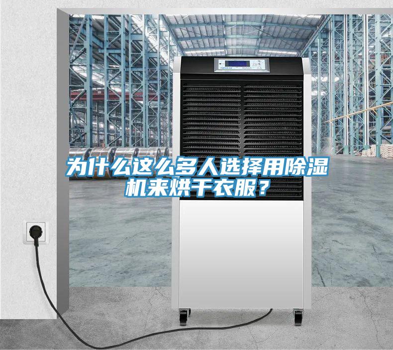 為什么這么多人選擇用除濕機來烘干衣服？