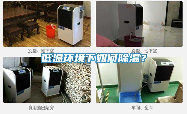 低溫環(huán)境下如何除濕?