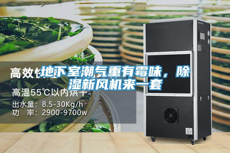 地下室潮氣重有霉味，除濕新風機來一套