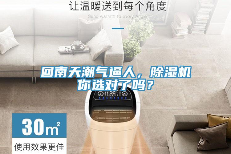 回南天潮氣逼人,除濕機你選對了嗎?