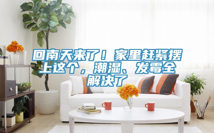 回南天來了！家里趕緊擺上這個，潮濕、發霉全解決了