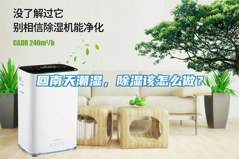 回南天潮濕,除濕該怎么做?