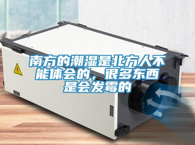 南方的潮濕是北方人不能體會的，很多東西是會發霉的