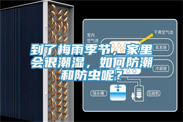 到了梅雨季節(jié),家里會很潮濕,如何防潮和防蟲呢?
