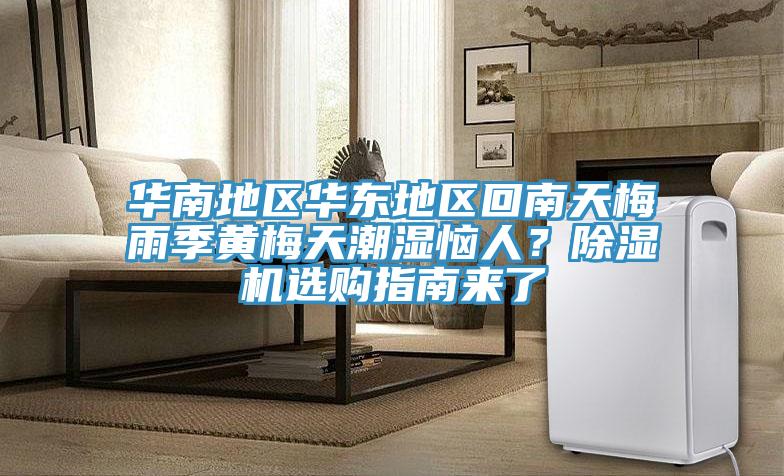 華南地區華東地區回南天梅雨季黃梅天潮濕惱人？除濕機選購指南來了