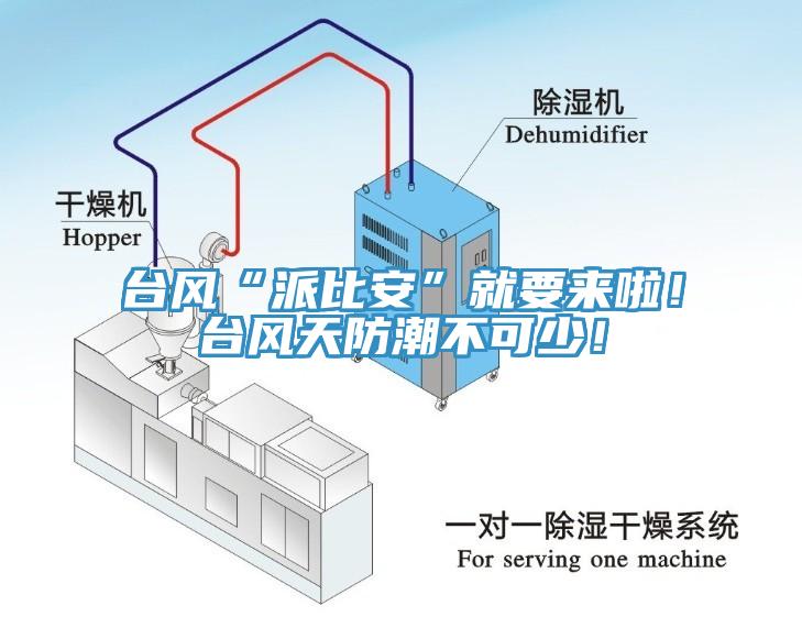臺風“派比安”就要來啦!臺風天防潮不可少!