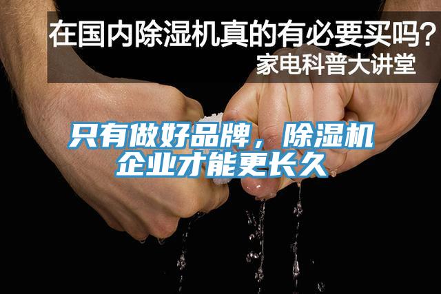 只有做好品牌,除濕機企業才能更長久
