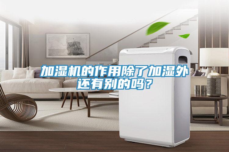 加濕機的作用除了加濕外還有別的嗎?