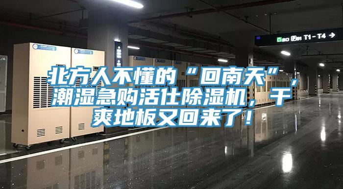 北方人不懂的“回南天”，潮濕急購(gòu)活仕除濕機(jī)，干爽地板又回來(lái)了！